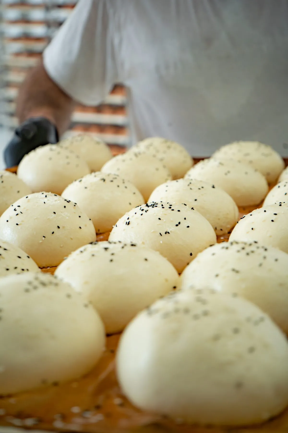 bakeo-aluat-chifle-burger-crescut-pe-tava-closeup