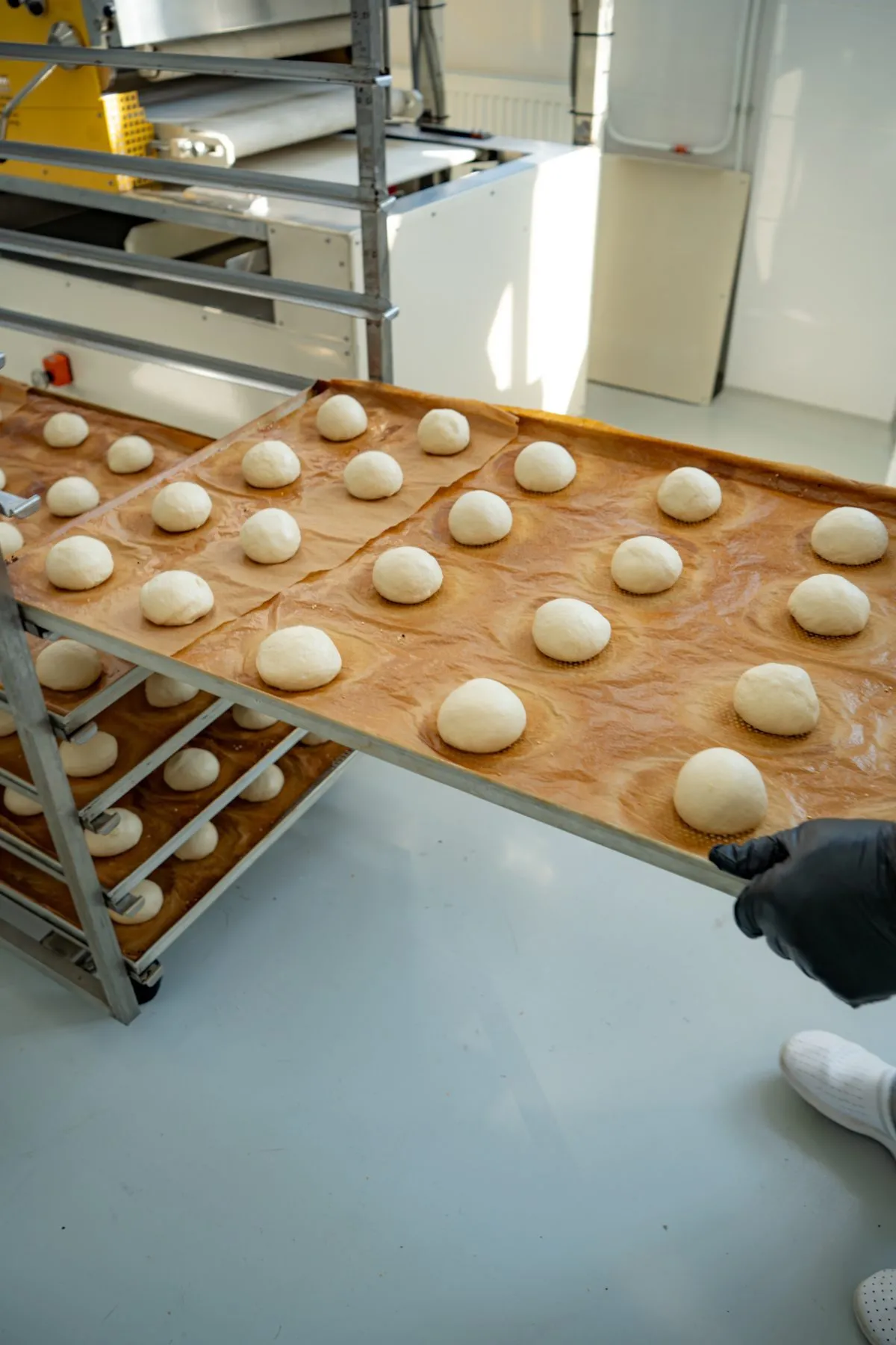 bakeo-aluat-chifle-burger-portionat-pe-tava-productie
