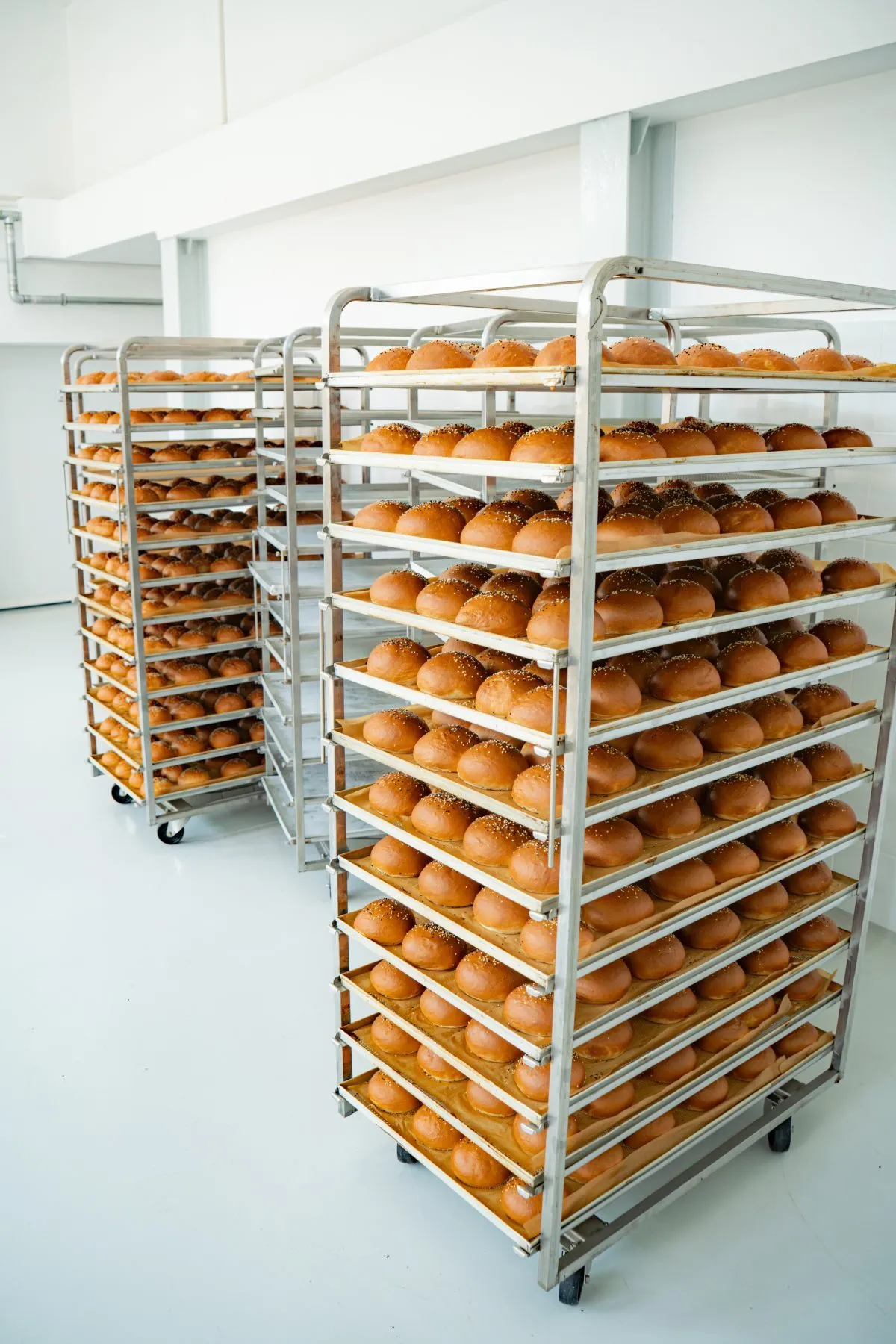 bakeo-carucioare-pline-chifle-burger-coapte-productie-volum