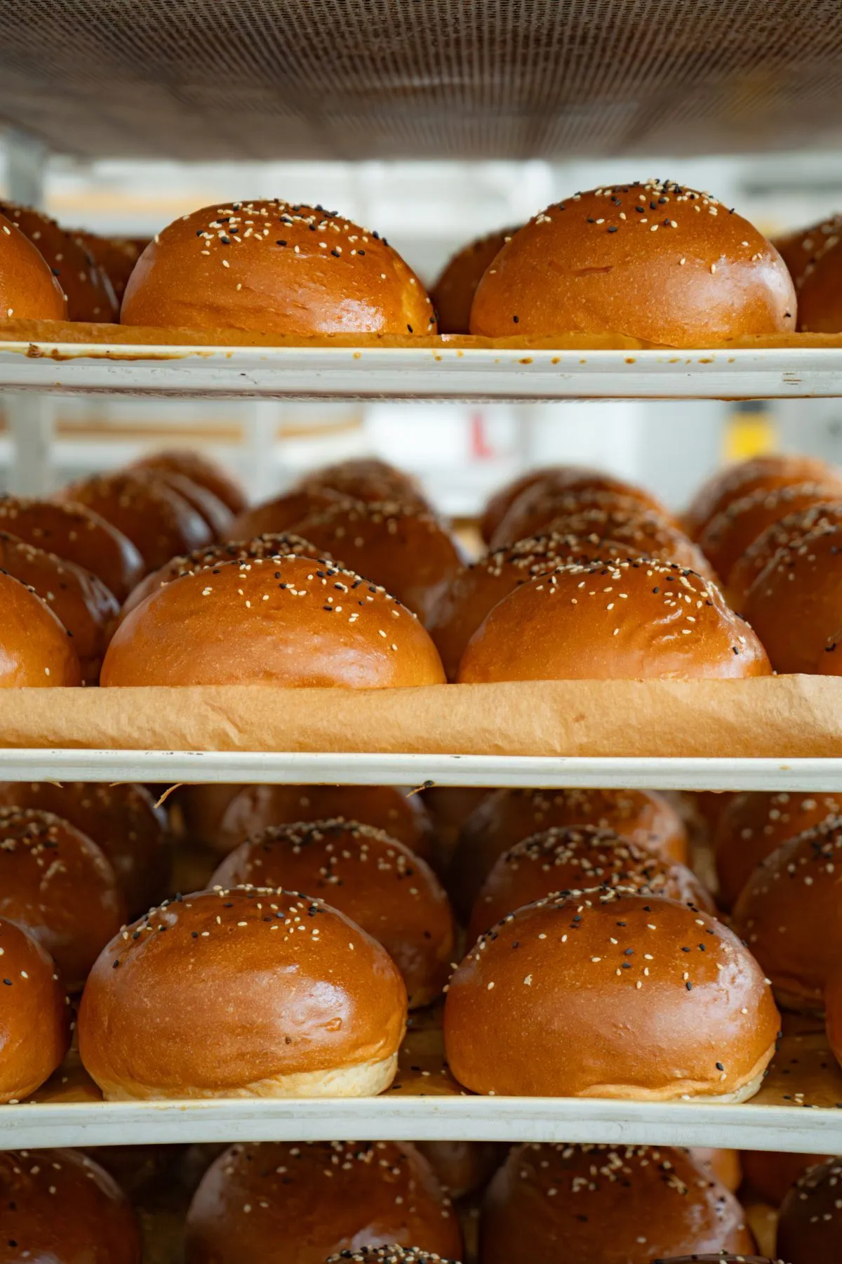 bakeo-chifle-burger-aurii-cu-seminte-pe-rafturi-productie