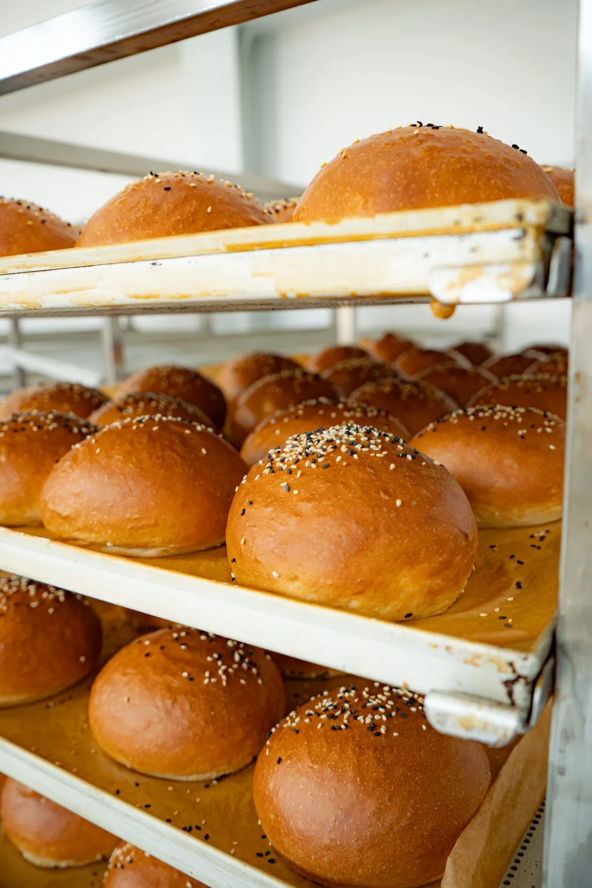 bakeo-chifle-burger-coapte-cu-seminte-susan-closeup