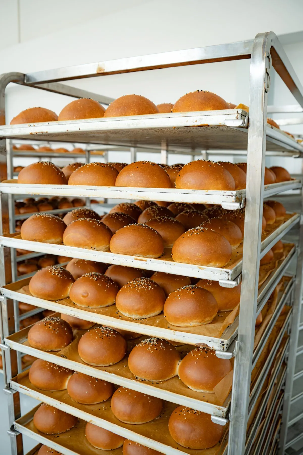 bakeo-chifle-burger-coapte-cu-susan-pe-rafturi-inox