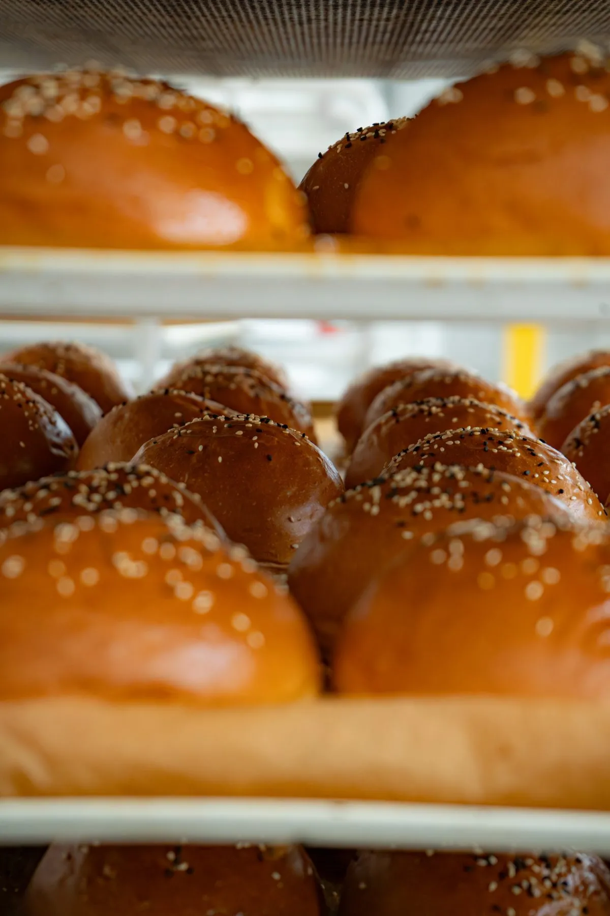 bakeo-chifle-burger-coapte-pufoase-pe-rafturi-macro